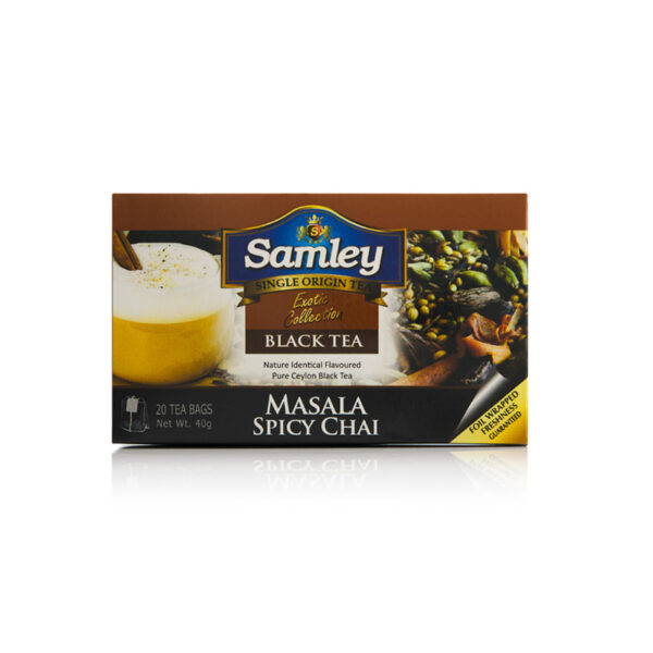 Masala Spicy Chai 20 TB